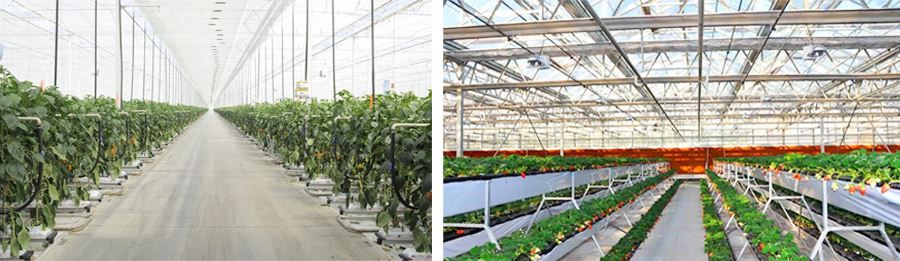 product-1-1 aluminum greenhouse pc manufacture