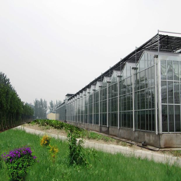 Glass Greenhouse Show