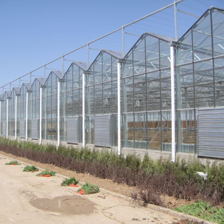From which aspects should the market research before the greenhouse construction start From which aspects should the market research before the greenhouse construction start