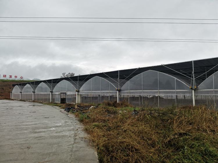 Film greenhouse construction Film greenhouse construction