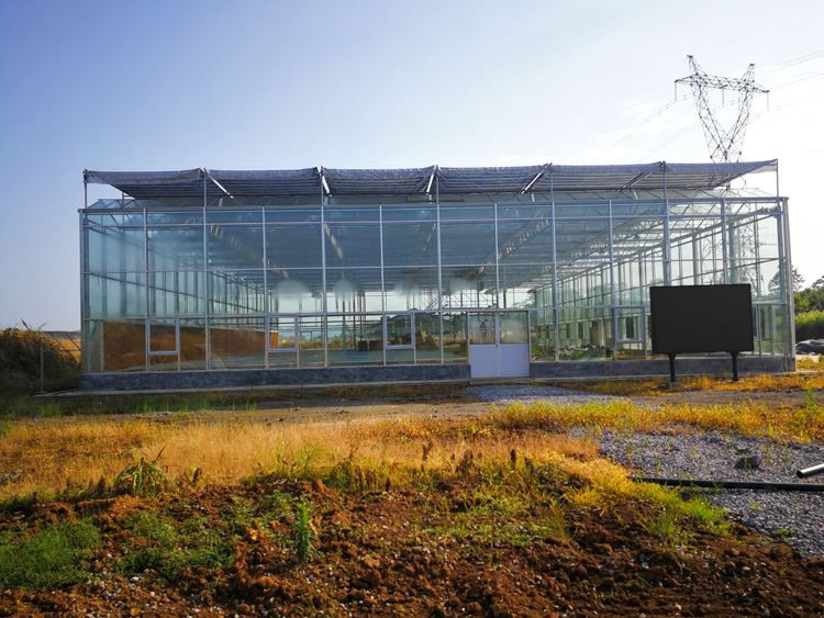 PC sun panel greenhouse cost