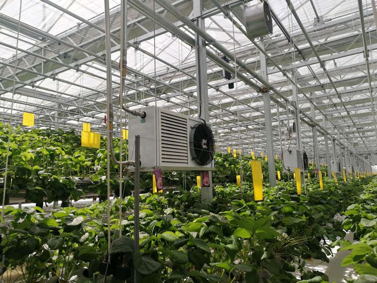 Greenhouses Greenhouses