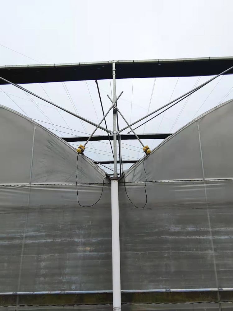 Plastic Film Greenhouse