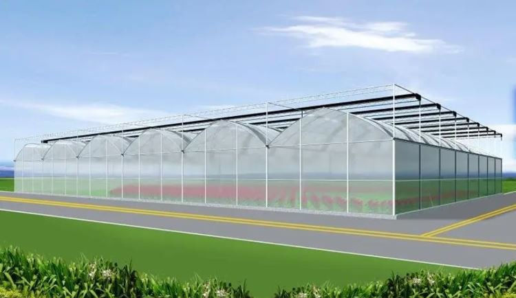 How to fertilize off-season vegetables in greenhouses