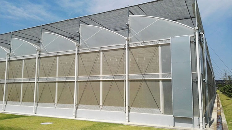 The concept of skylights and the role of sun panels The concept of skylights and the role of sun panels