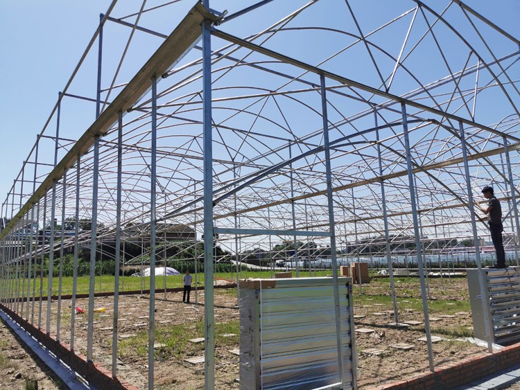 Plastic Film Greenhouse