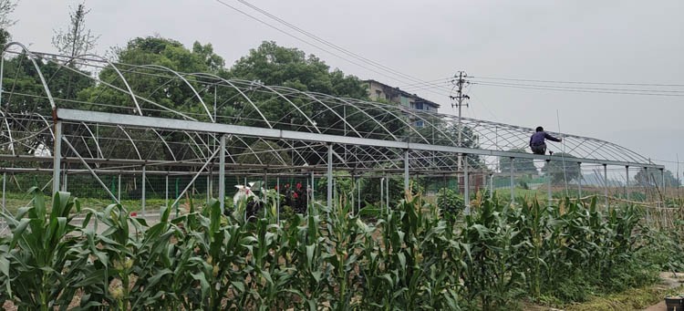 How to replenish carbon dioxide in the greenhouse