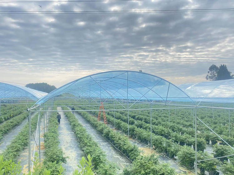 Why is it so hot inside the greenhouse